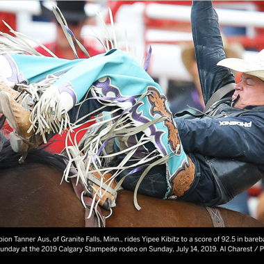 Image for 2019 Calgary Stampede Rodeo Champs